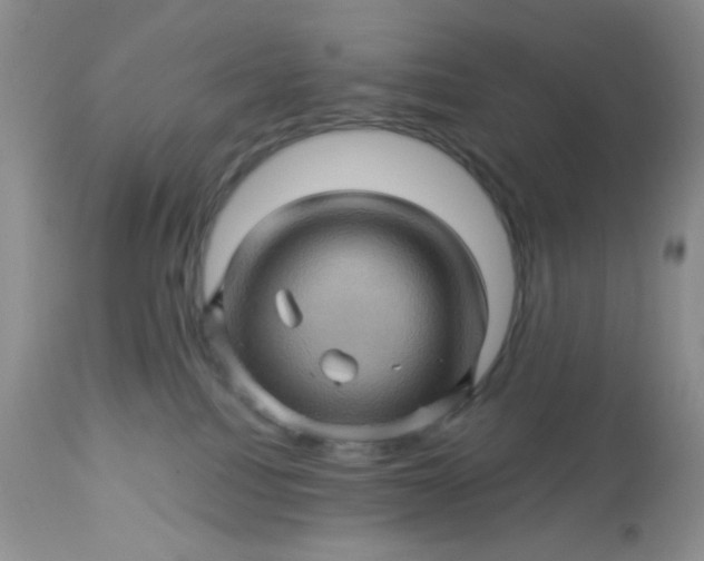 X0000113570088200910091449