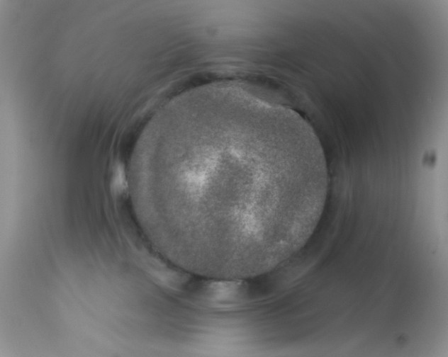 X0000113570089200910091449