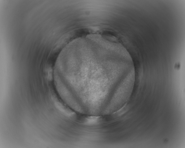 X0000113570090200910091449