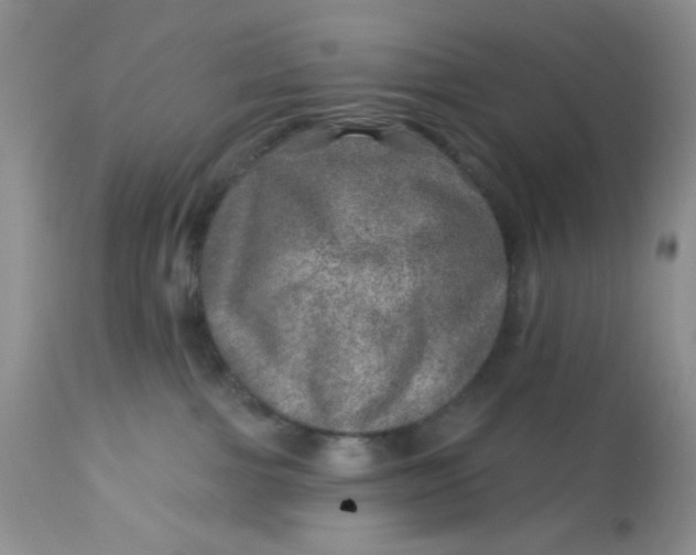 X0000113570091200910091449