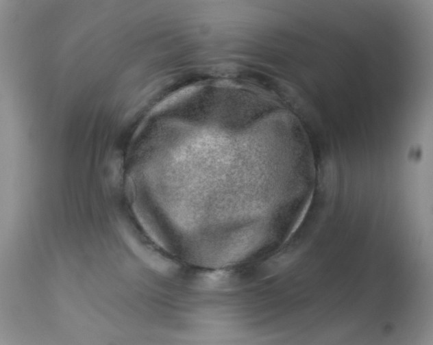 X0000113570092200910091449