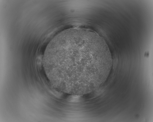 X0000113570093200910091449