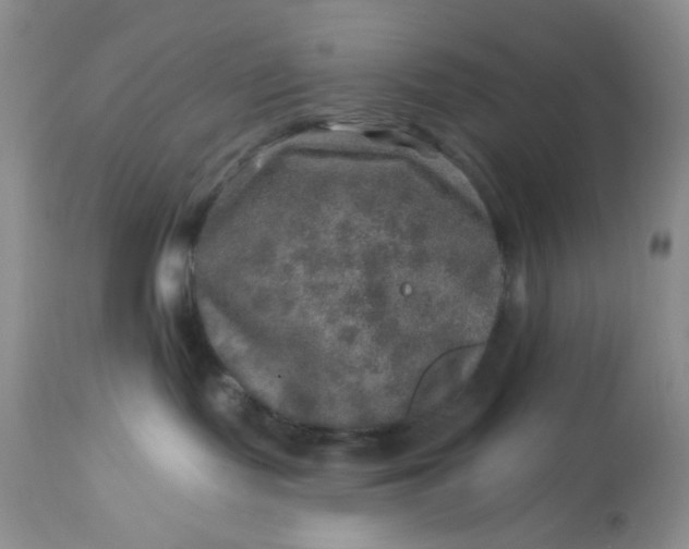 X0000113570095200910091449