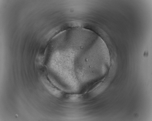 X0000113570096200910091449