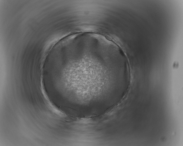 X0000113570097200910091448