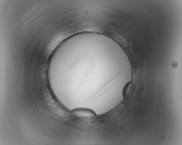 X0000113570098200910091448