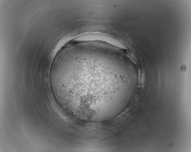 X0000113570099200910091448