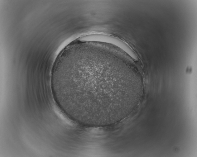 X0000113570100200910091448