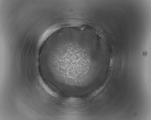 X0000113570101200910091448