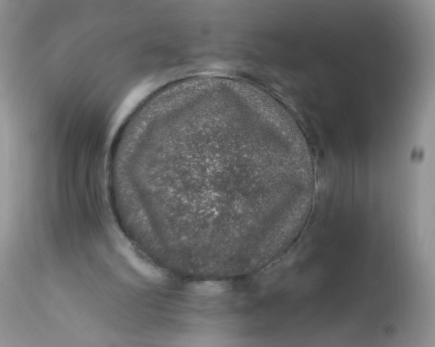 X0000113570102200910091448