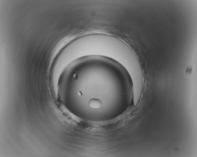 X0000113570104200910091448