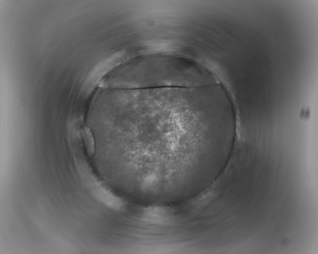 X0000113570105200910091448