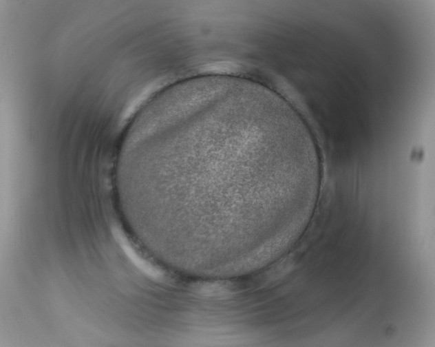 X0000113570106200910091448