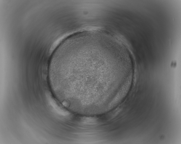 X0000113570107200910091448