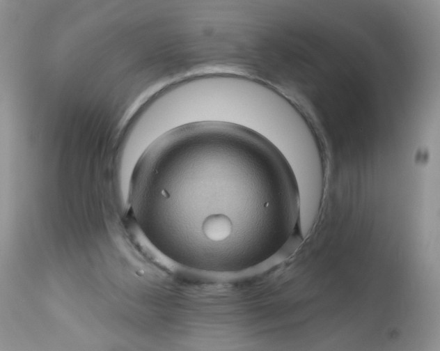 X0000113570108200910091448