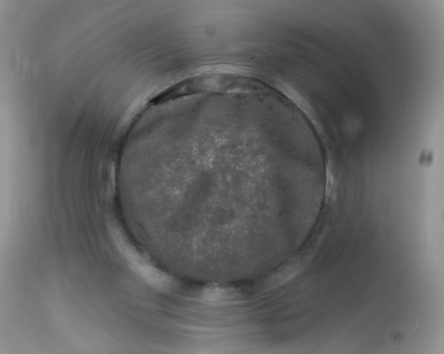 X0000113570109200910091448