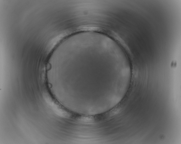 X0000113570110200910091448