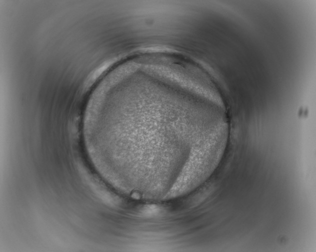 X0000113570111200910091448