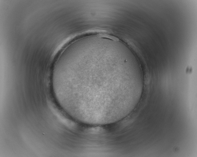 X0000113570112200910091448