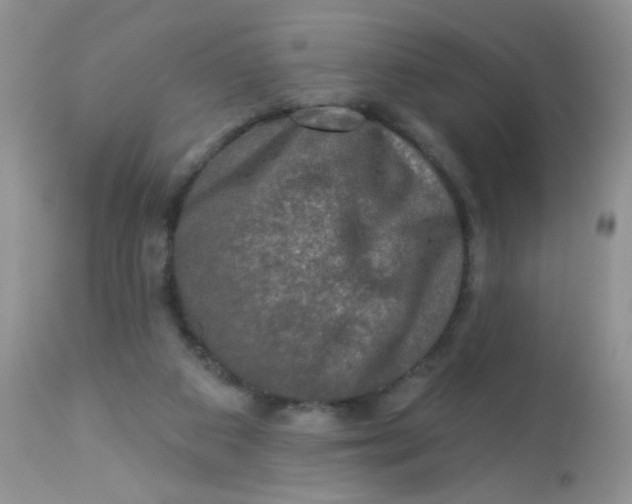 X0000113570113200910091448