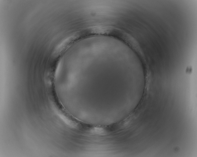 X0000113570114200910091448