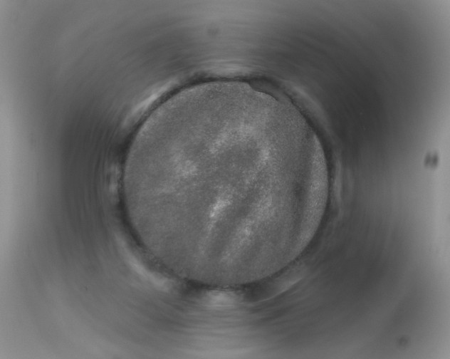 X0000113570115200910091448