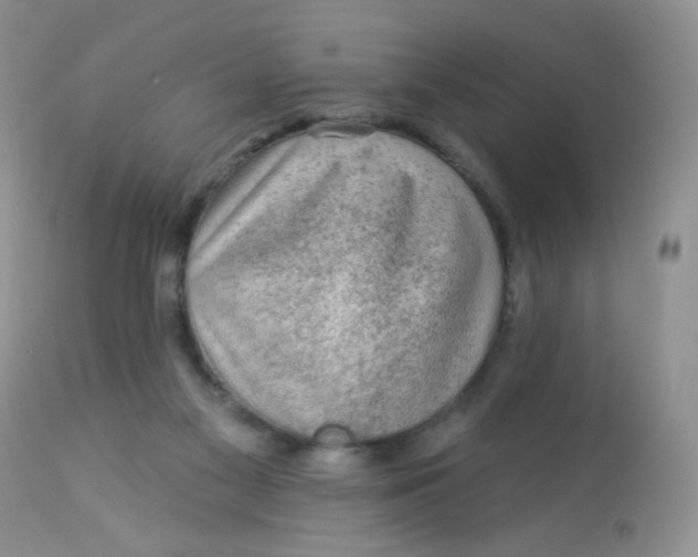 X0000113570117200910091448