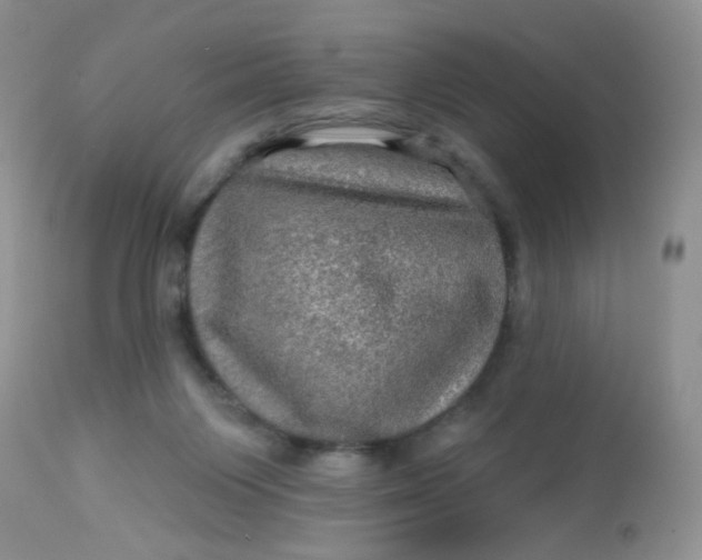 X0000113570119200910091448