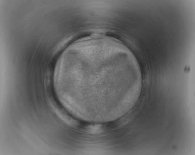 X0000113570120200910091448