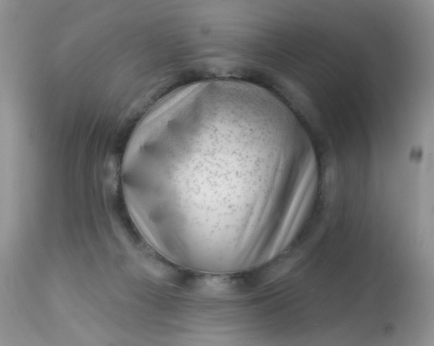 X0000113570121200910091448