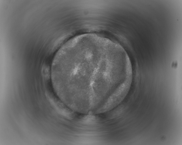 X0000113570123200910091448