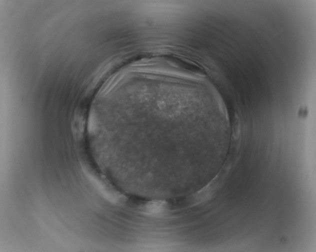 X0000113570124200910091448