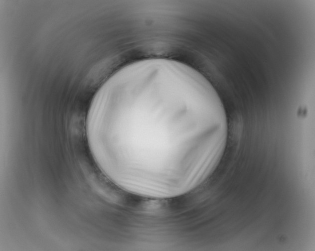 X0000113570126200910091448