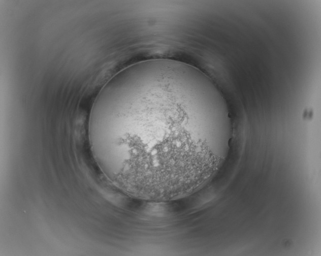 X0000113570127200910091447