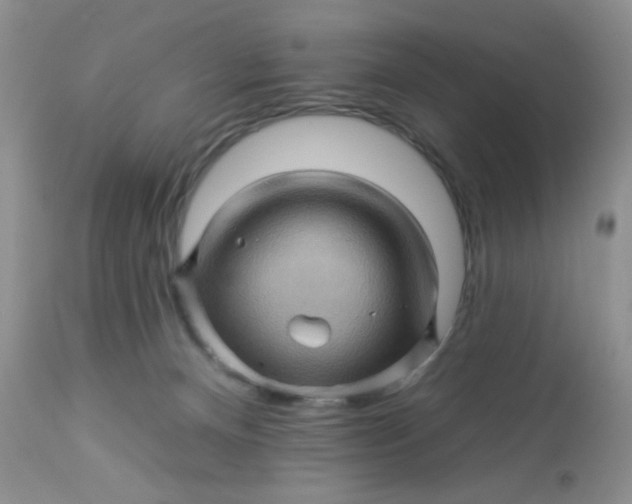 X0000113570128200910091447