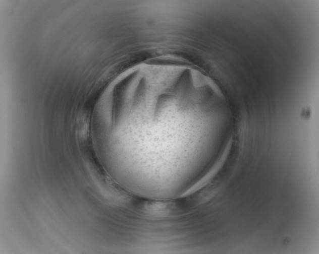 X0000113570129200910091447