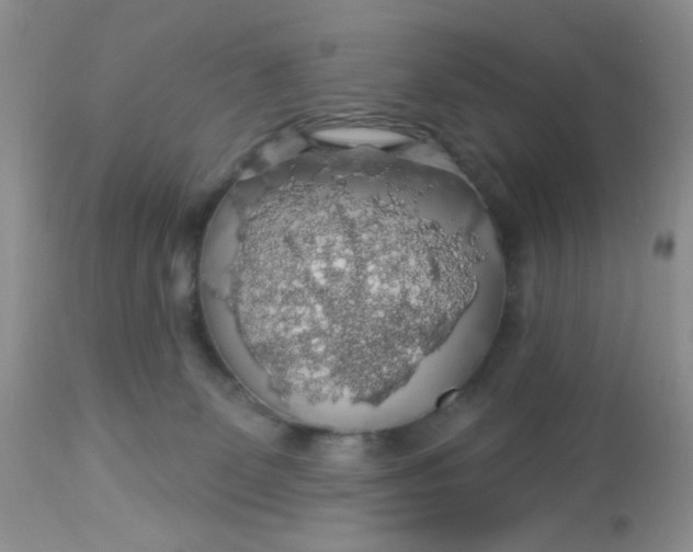 X0000113570131200910091447