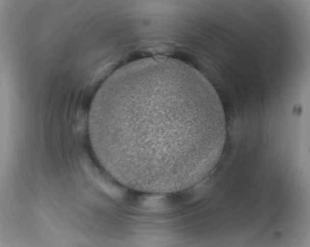 X0000113570132200910091447