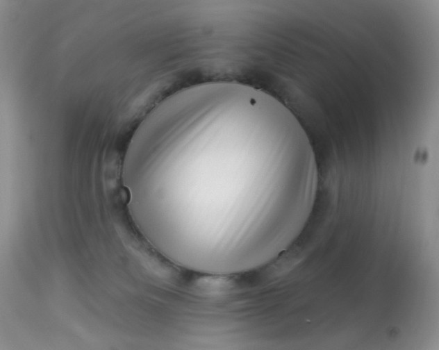 X0000113570133200910091447