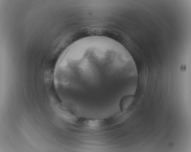 X0000113570134200910091447