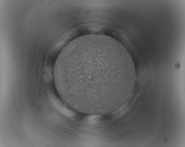 X0000113570136200910091447