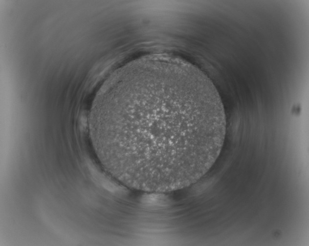 X0000113570137200910091447