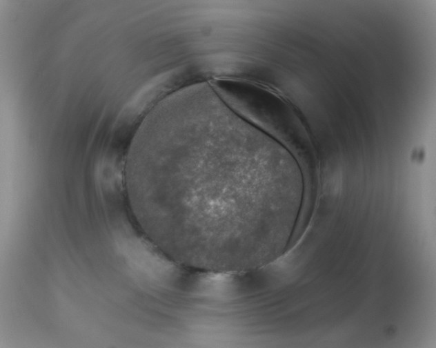 X0000113570140200910091447