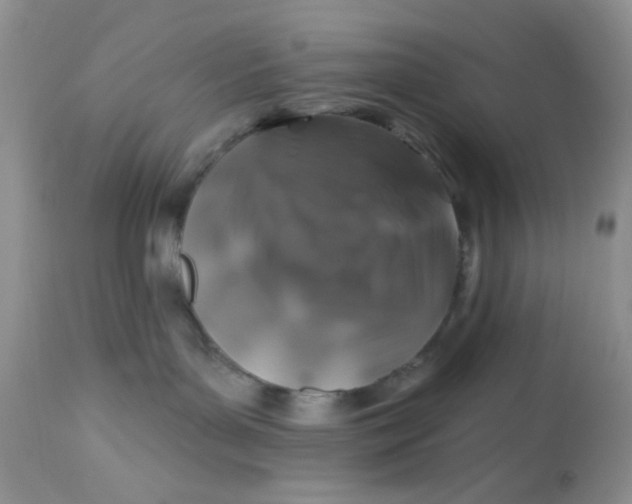 X0000113570143200910091447