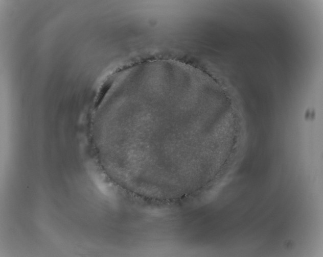 X0000113570144200910091447