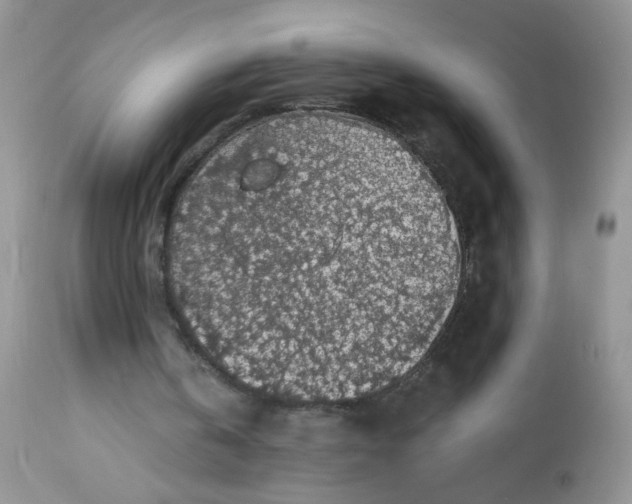 X0000113570146200910091446