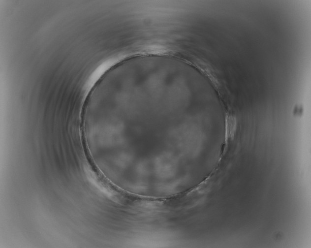 X0000113570147200910091446