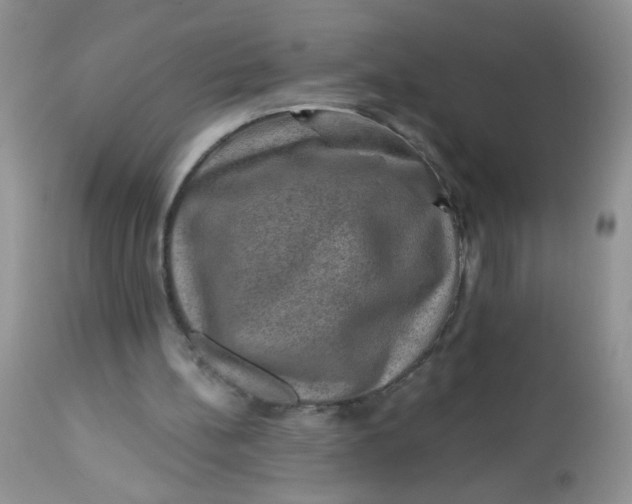 X0000113570148200910091446