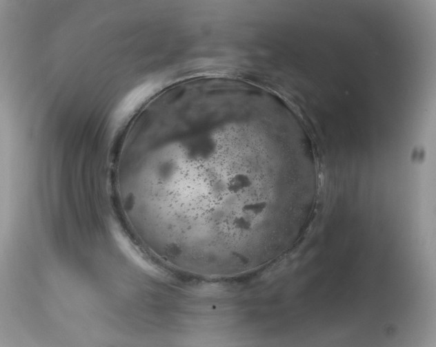 X0000113570149200910091446