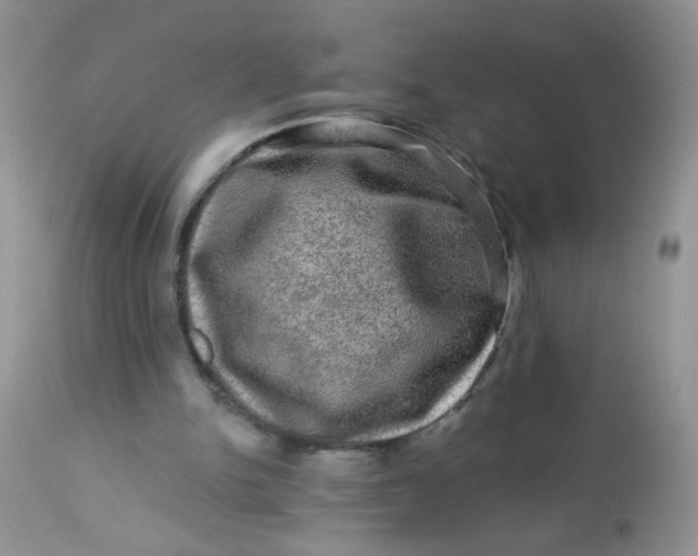 X0000113570150200910091446